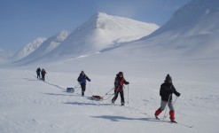 randonnée en ski nordique avec pulka