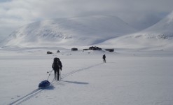 voyage ski nordique avec pulka en laponie