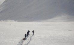 ski nordique avec pulka en laponie