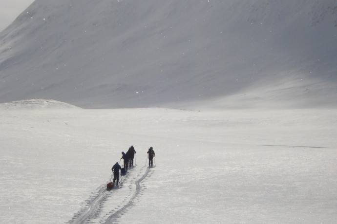 ski nordique avec pulka en laponie