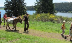 randonnée famille avec un âne en Auvergne