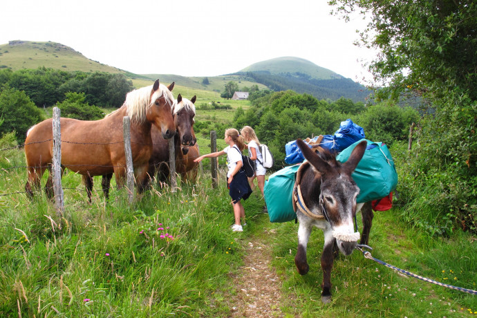 randonner avec un âne en famille en Auvergne
