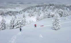 Initiation ski de randonnée nordique avec pulka - 3 jours Vercors