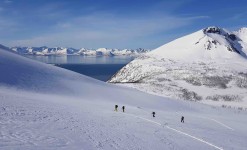 Entre Mer et Montagne : Ski de randonnée en Norvège