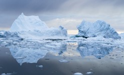 voyage pour approcher les iceberg au groenland