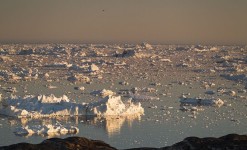 photographie des iceberg au groenland