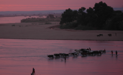 Descente rivière Manambolo Madagascar
