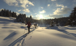 Ski nordique et pulka