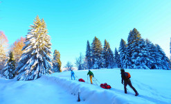 Week-End Immersion en ski nordique / pulka dans le Jura Suisse