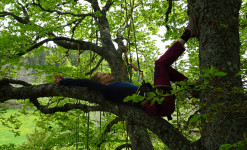 Week-end Bivouac arboricole