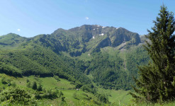 Pyrénées Ariégeoises - Vallons secrets et faune sauvage