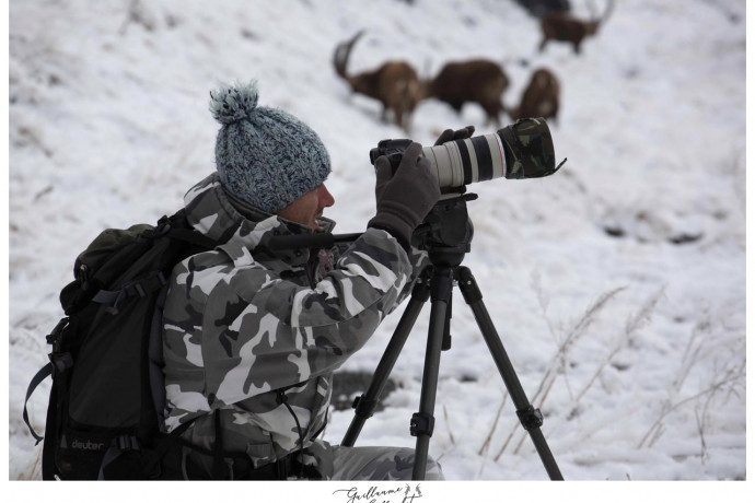 apprendre à filmer la faune sauvage
