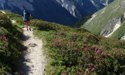 L’aventure à vélo :  Les Alpes Françaises au bout du guidon