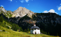 Faune sauvage et Paysages des Alpes au Printemps - Rando et Photo Naturaliste