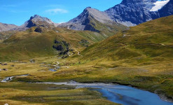 Faune sauvage et Paysages des Alpes au Printemps - Rando et Photo Naturaliste