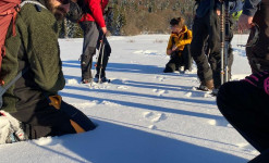 Formation professionnelle : stage la faune et l'hiver