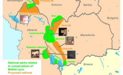 Expédition sciences participatives sur la piste du lynx des Balkans