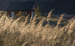 Spécial photo Aurores Boréales dans les Fjords Norvégiens