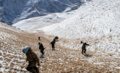 A l’affût de la Panthère des neiges sur les hauts plateaux kirghizes