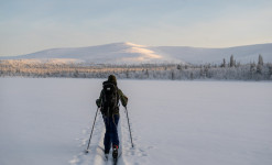 Raid à ski et pulka - Parc National Urho Kekkonen