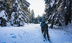 Nouvel An dans le Jura - ski nordique & pulka