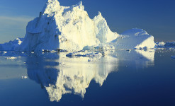 Icebergs et terre des Boeufs Musqués