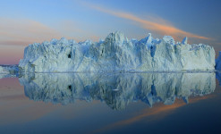 Icebergs et terre des Boeufs Musqués