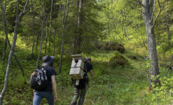 Protection de la nature et sciences participatives en Norvège