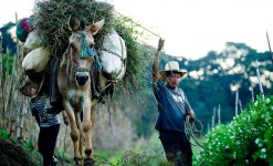 séjour écotourisme au guatemala