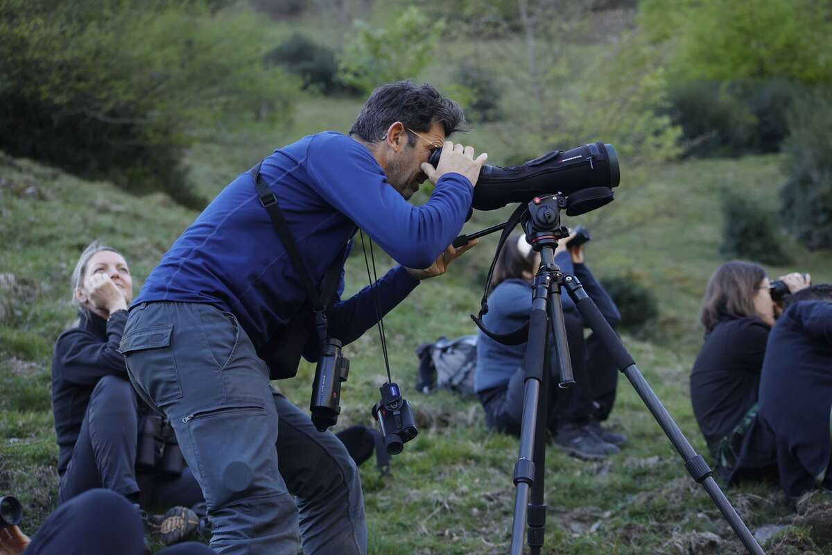 Observation animalière dans les Pyrénées ariégeoises