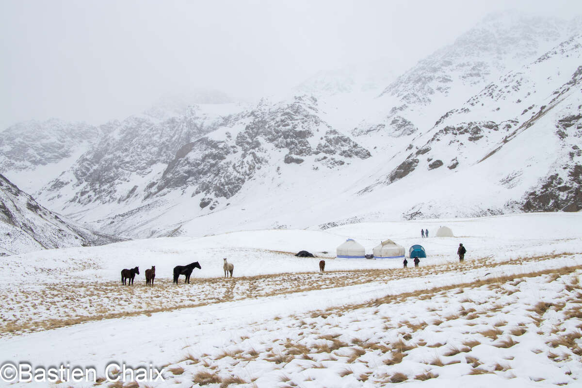 Yourtes et chevaux en hiver en Kirghizie - Voyage Amarok l'Esprit Nature
