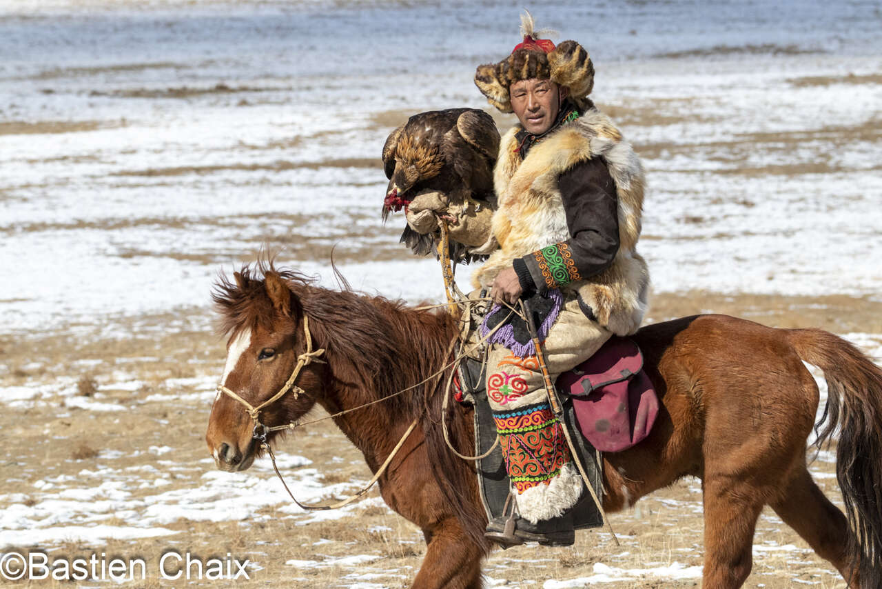 Aiglier kazakh à cheval - Voyage Amarok l'Esprit Nature