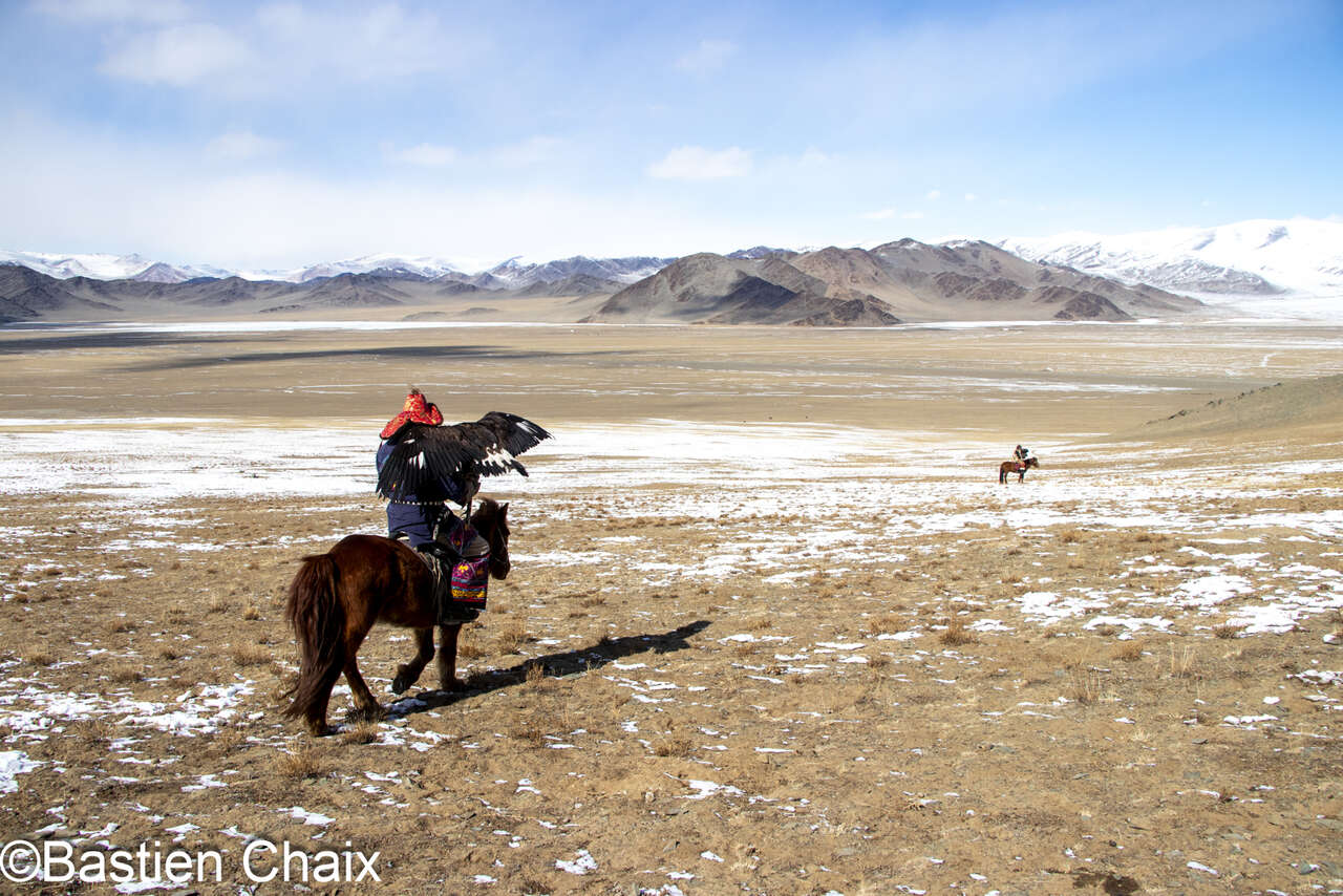 Aigliers kazakhs à cheval dans l'Altai - Voyage Amarok l'Esprit Nature