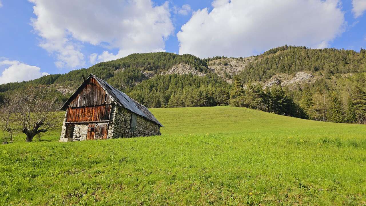 Ancienne grange dans une prairie verdoyante des Alpes-de-Haute-Provence