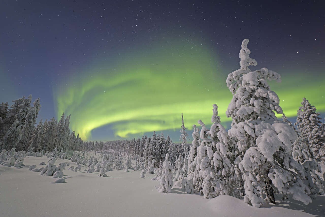 Aurores boréales au-dessus de la forêt enneigée en Finlande