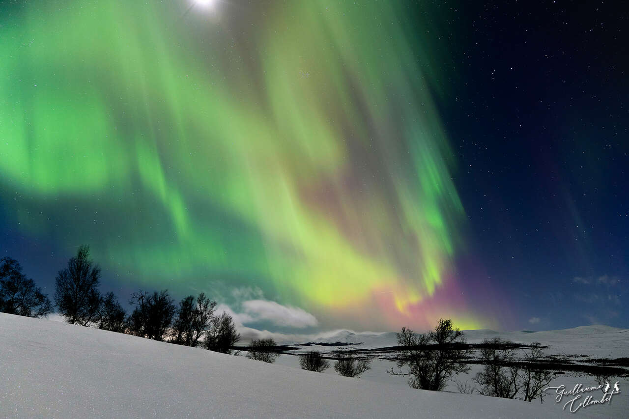 Aurores boréales au-dessus de la toundra enneigée en Norvège