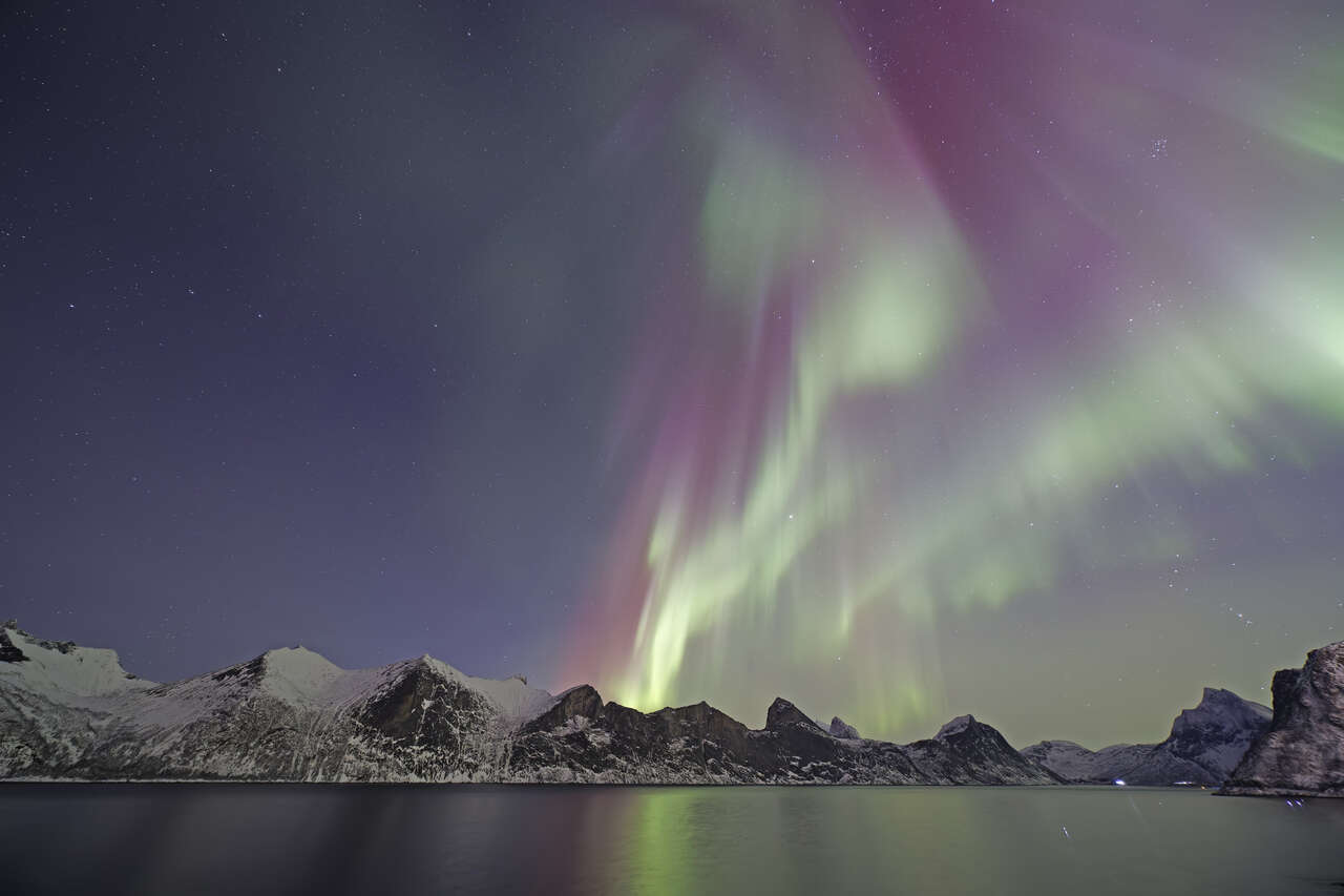 aurores boréales vertes et roses au-dessus des montagnes et fjords de Senja en Norvège