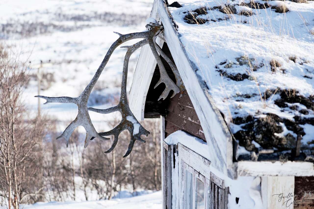 Bois de renne sur une cabane du Dovrefjell