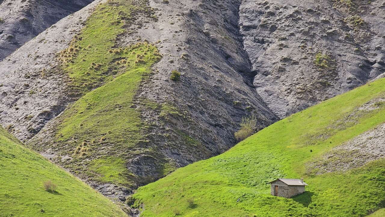 Cabane de montagne au cœur des alpages verdoyants