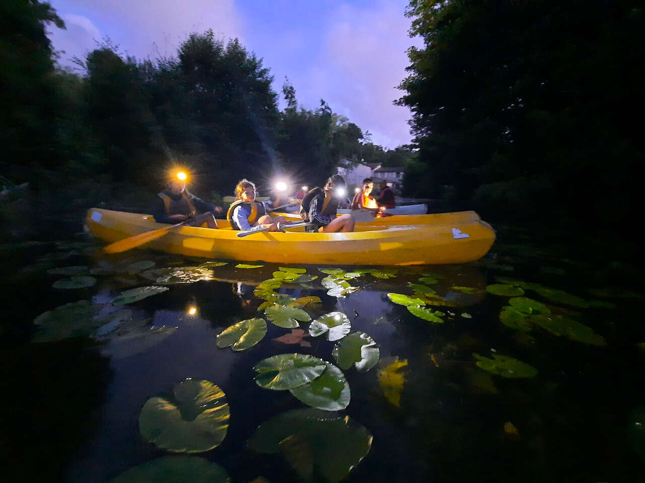 Canoë nocturne dans le marais poitevin avec lampes frontales et nénuphars