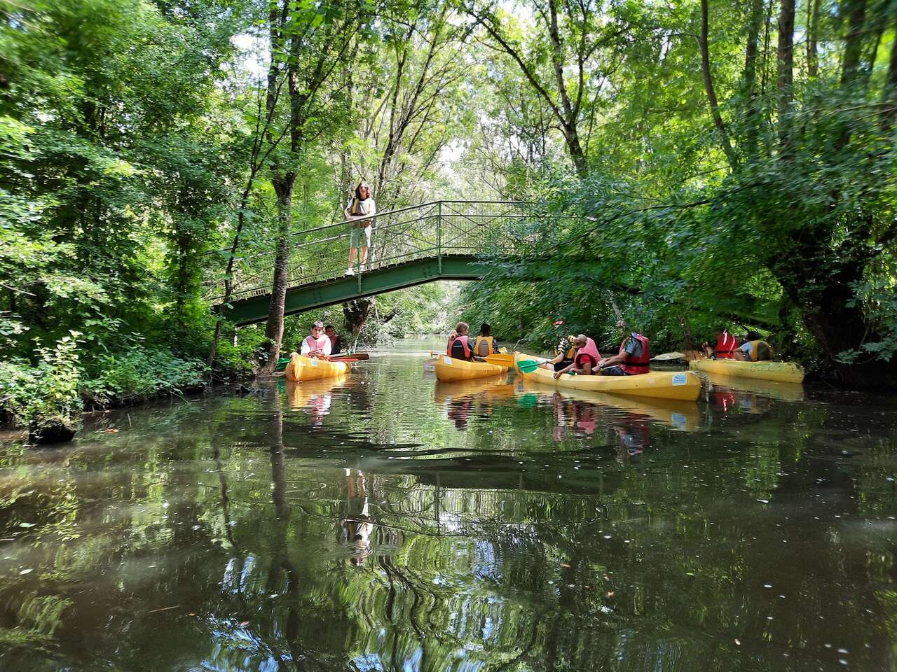 Canoës glissant sous une passerelle au cœur de la forêt du Marais poitevin