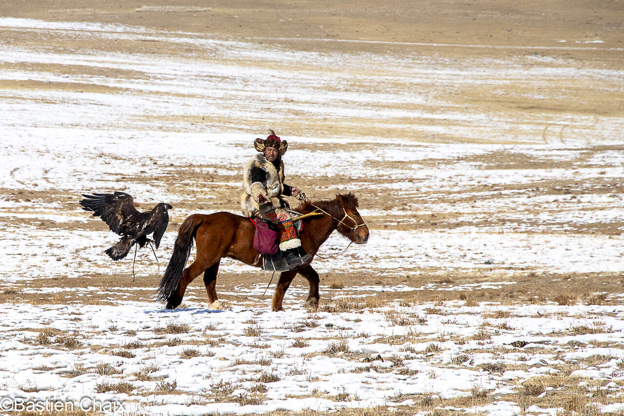 Chasseur à l’aigle à cheval dans l’Altaï mongol