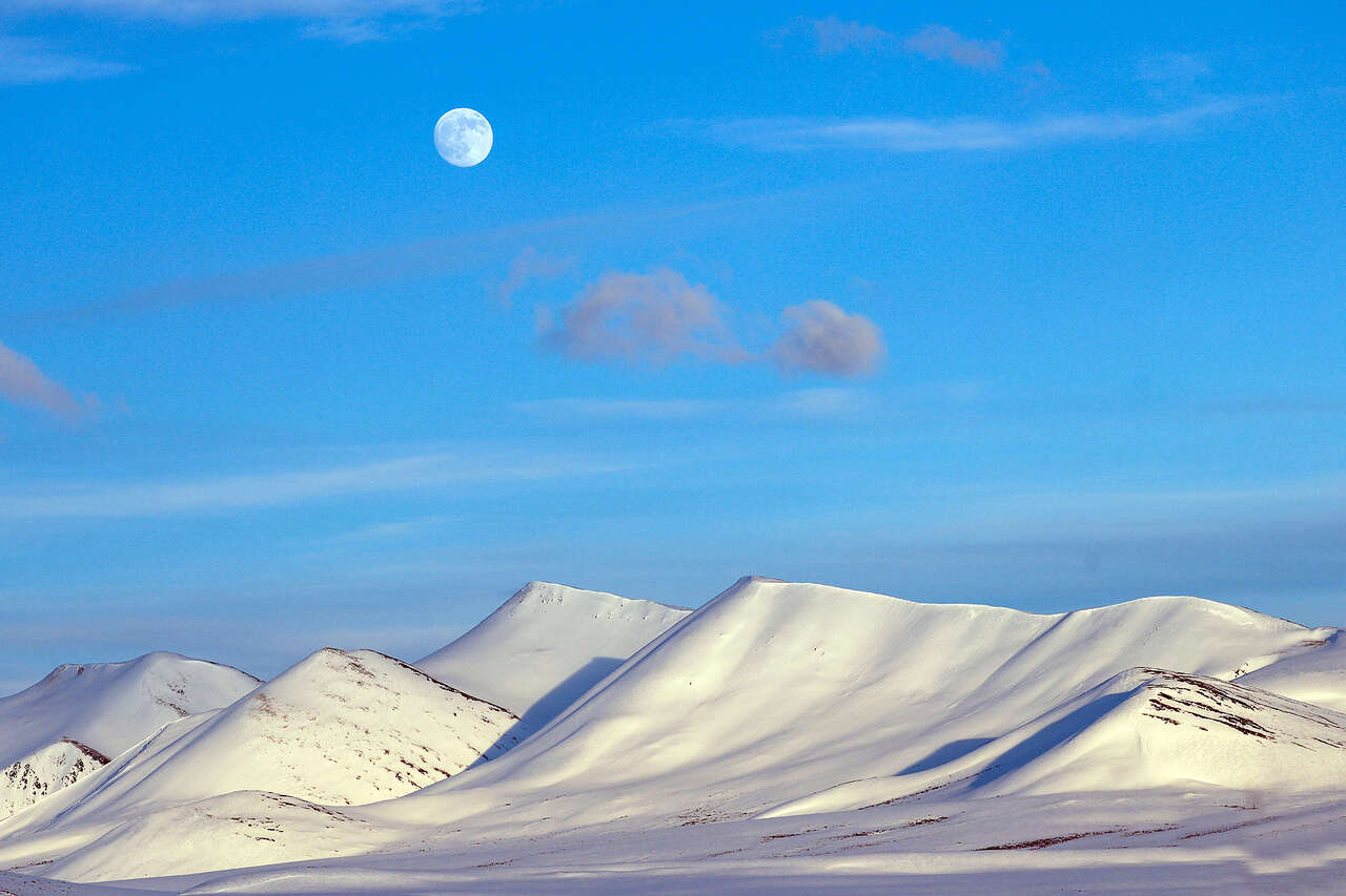 Espaces enneigés du grand nord canadien