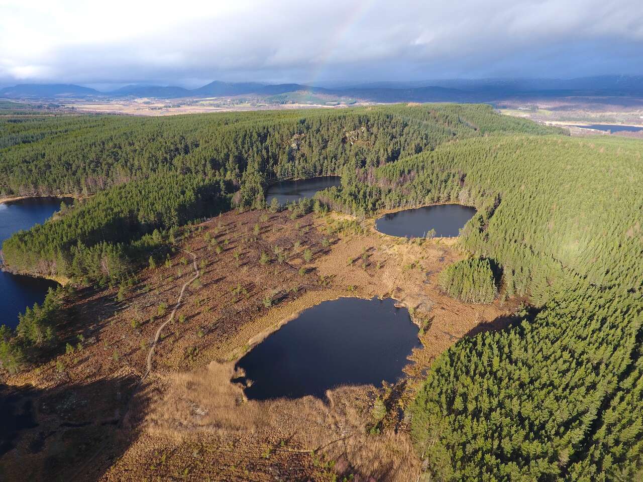 Forêts et lochs du parc national des Cairngorms en Écosse