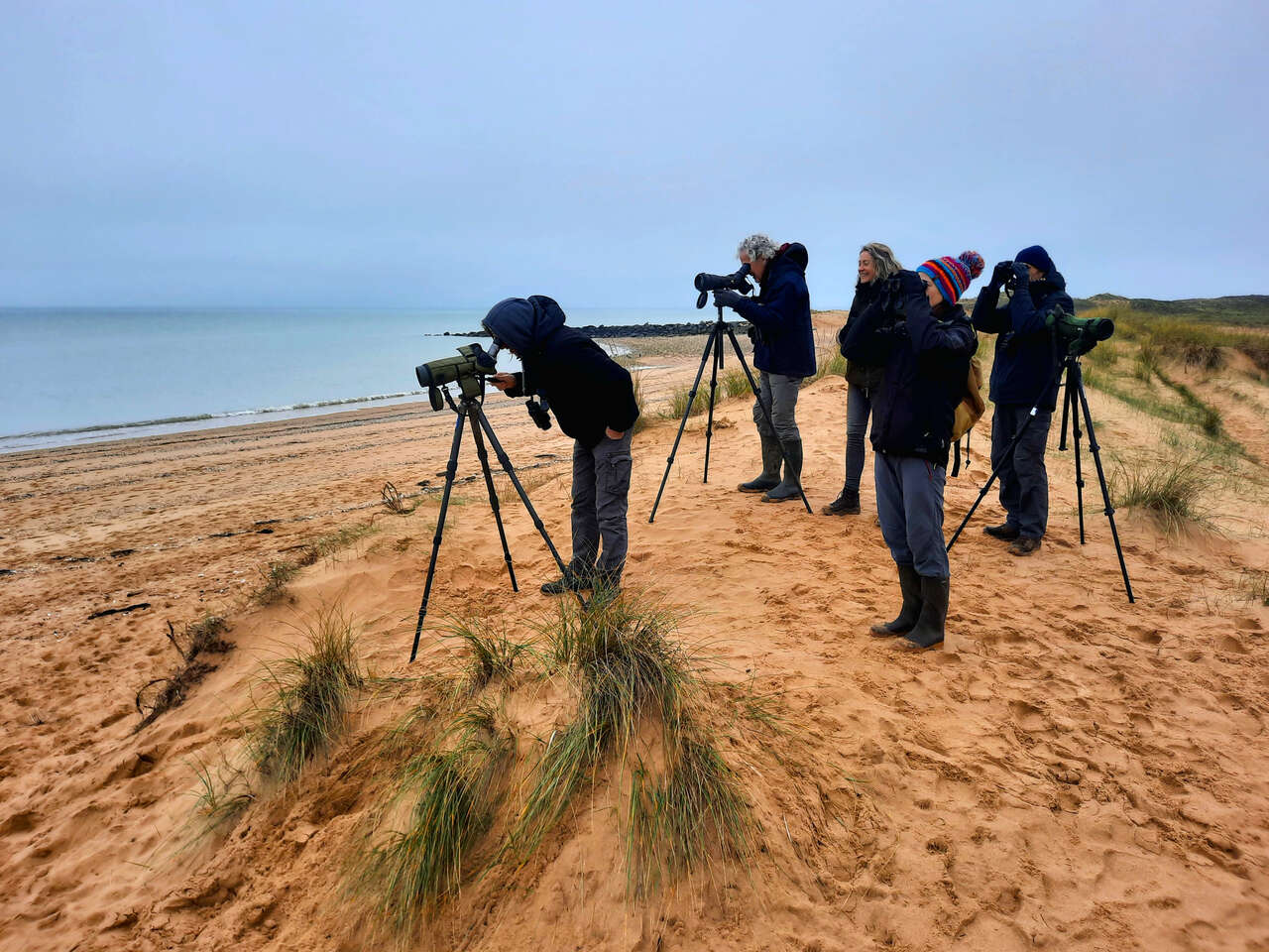 Groupe d’observateurs équipés de longues-vues sur les dunes du littoral du Marais poitevin