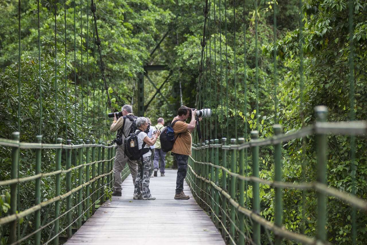 Groupe de photographes naturalistes sur une passerelle au Costa Rica