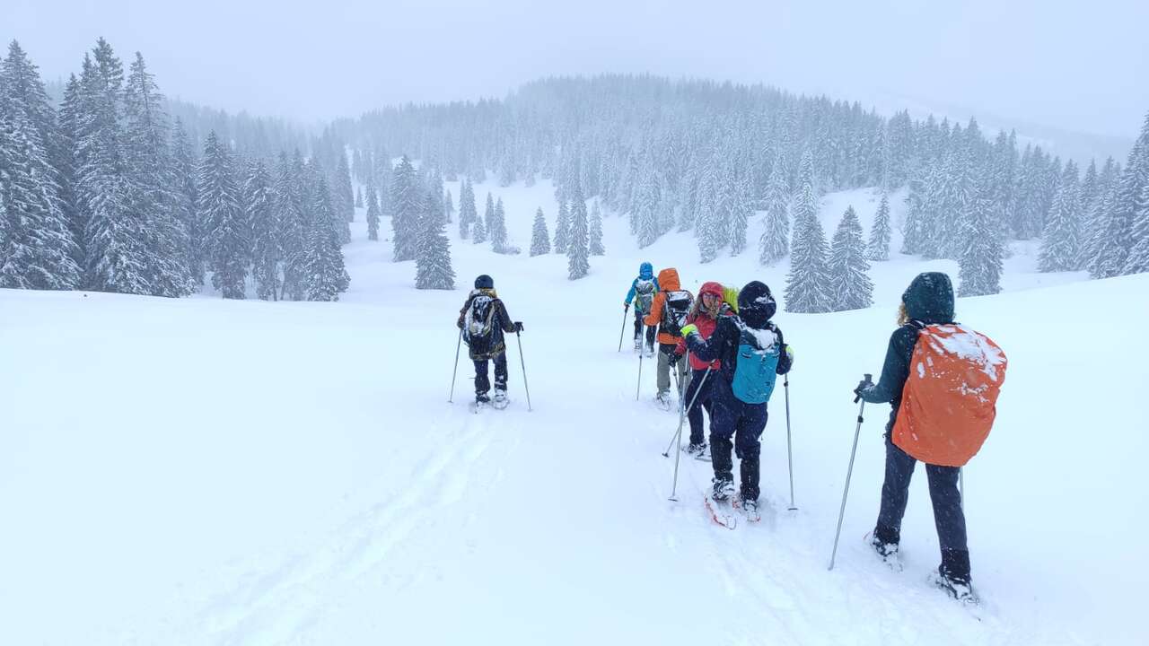 Groupe en randonnée en raquettes dans les forêts enneigées du Jura