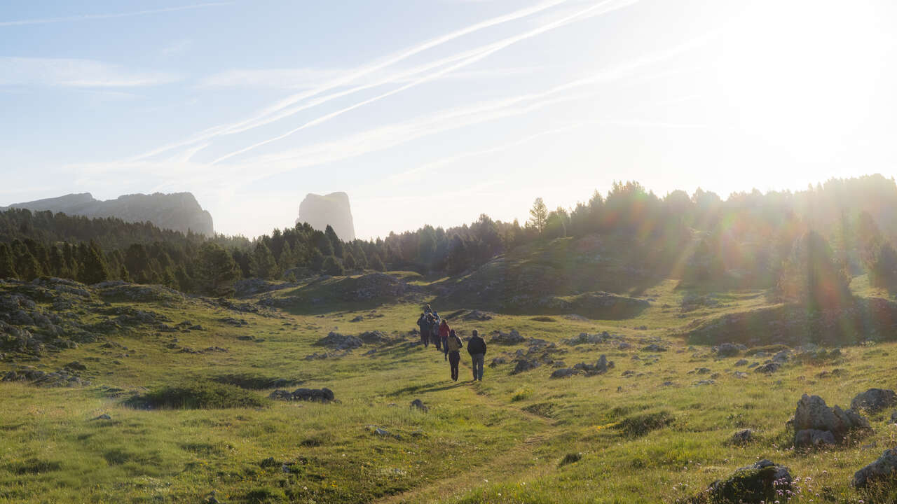 Groupe en randonnée naturaliste sur les Hauts Plateaux du Vercors