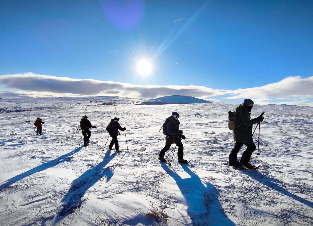 Groupe en raquettes dans le parc de Dovrefjell