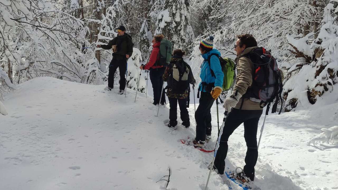 Guide naturaliste et groupe en raquettes observant des traces dans le Jura